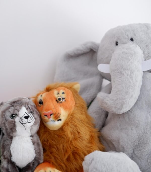 4e42f942-acdc-4bfa-a166-c277fa76c8a3